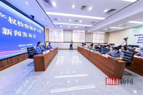 湖北通報知識產權檢察保護典型案例 侵權影片2200余部，8人因從事廣告業務獲刑